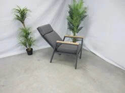 Te Velde Tuinmeubelen Palazzo Aluminium-teak Tuinstoel Verstelbaar -Tuin- En Buitenwinkels 22 4 te velde tuinmeubelen palazzo aluminium teak tuinstoel verstelbaar palazzodinteakverstel