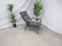 Te Velde Tuinmeubelen Palazzo Aluminium-teak Tuinstoel Verstelbaar -Tuin- En Buitenwinkels 22 5 te velde tuinmeubelen palazzo aluminium teak tuinstoel verstelbaar palazzodinteakverstel