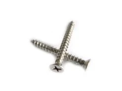 Nesling Schroeven 20 Stuks RVS